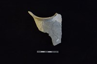 陶罐藏品圖，第1張